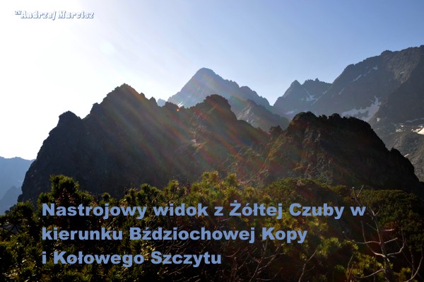 widok z Żółtej Czuby